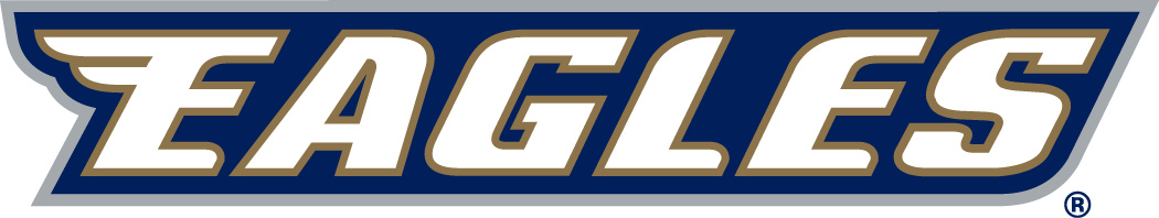 Georgia Southern Eagles 2004-Pres Wordmark Logo v6 diy DTF decal sticker